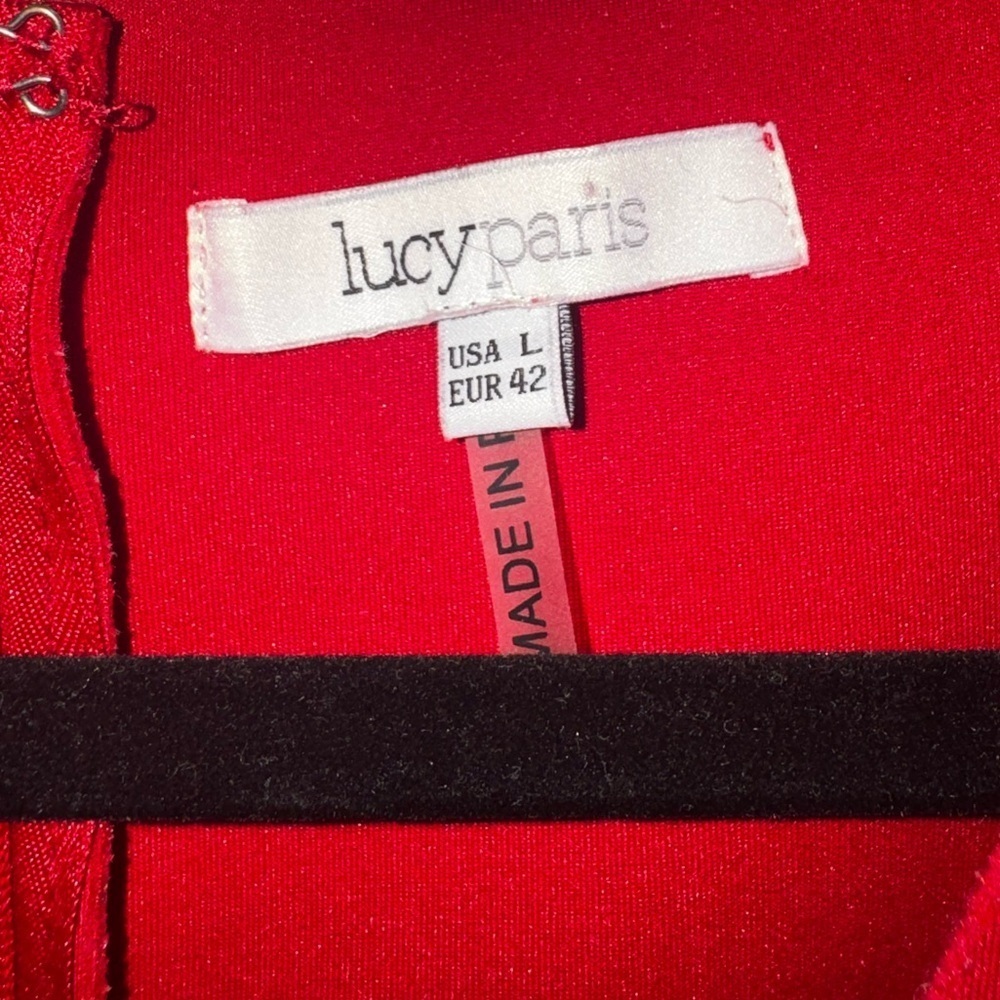 Lucy Paris Vibrant Red Mini Dress - Picture 4 of 5